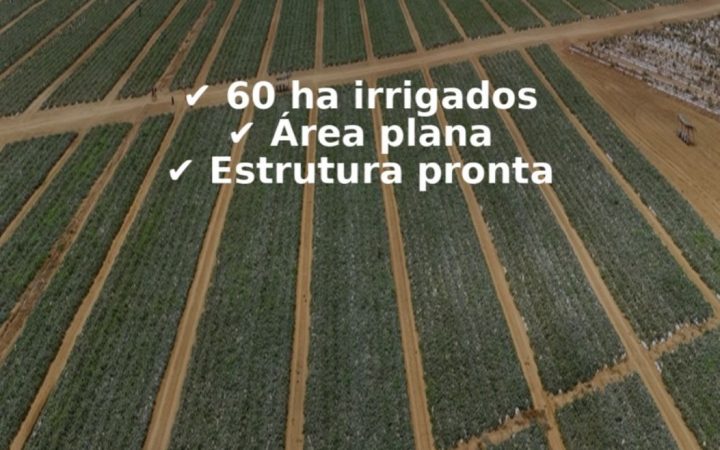 WhatsApp-Image-2026-05-06-at-14.14.32-2