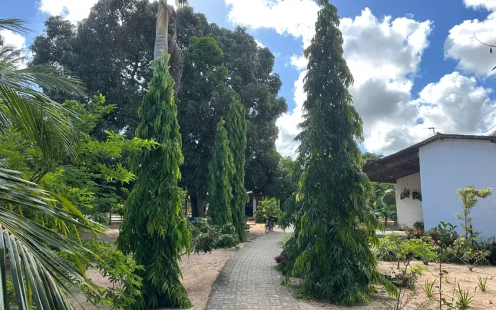 fazendasitio-com-3-quartos-a-venda-1000m-no-vale-do-sol-parnamirim-7