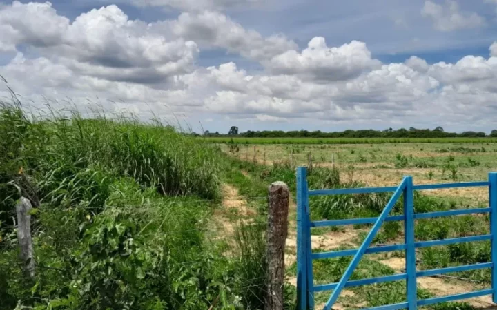 fazendasitio-com-5-quartos-a-venda-4980000m-no-macaiba-10