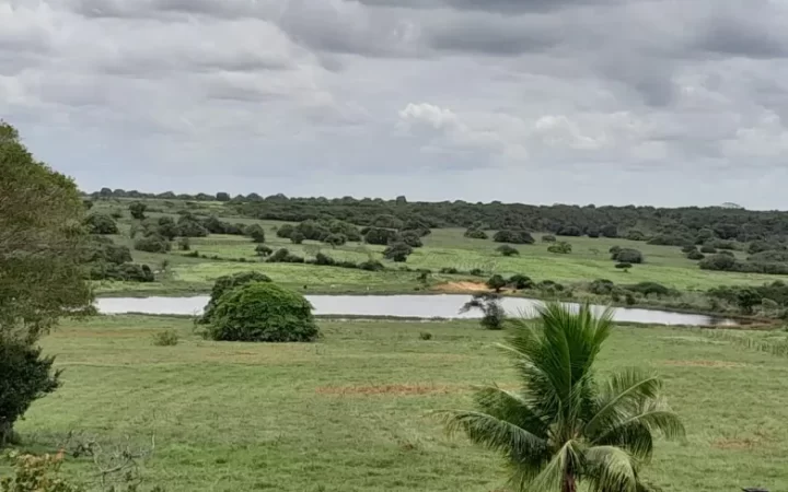 fazendasitio-com-5-quartos-a-venda-4980000m-no-macaiba-2