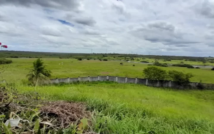 fazendasitio-com-5-quartos-a-venda-4980000m-no-macaiba-3