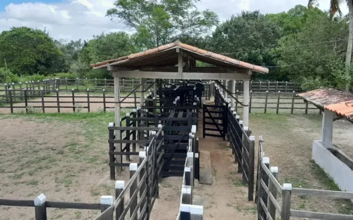 fazendasitio-com-5-quartos-a-venda-4980000m-no-macaiba-4
