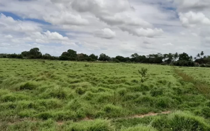 fazendasitio-com-5-quartos-a-venda-4980000m-no-macaiba-5
