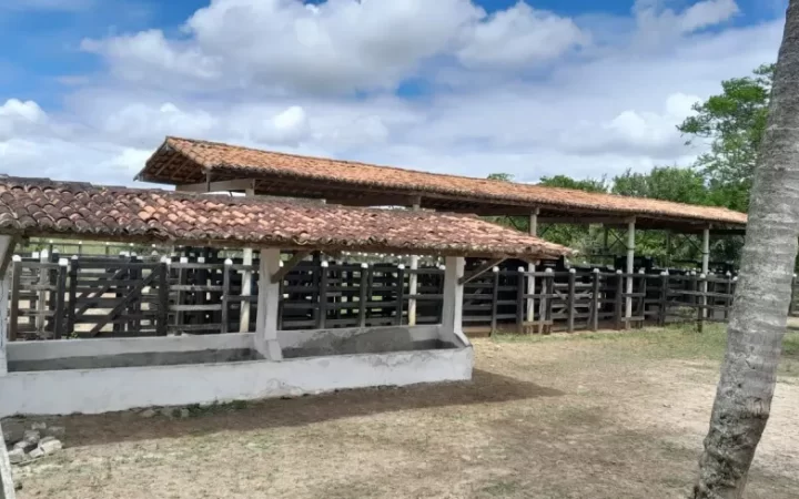 fazendasitio-com-5-quartos-a-venda-4980000m-no-macaiba-7