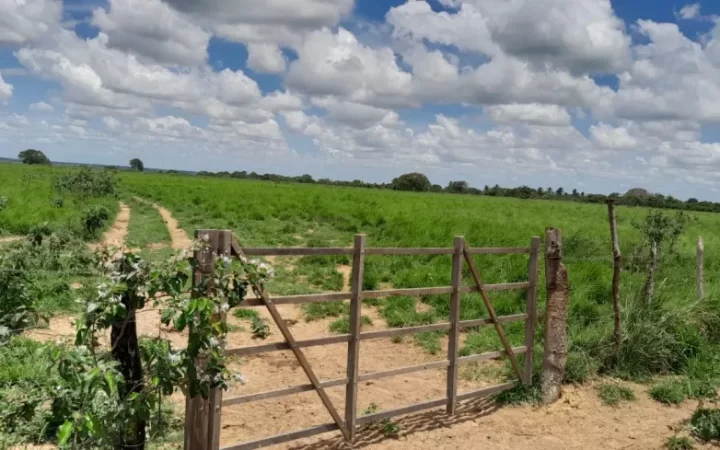 fazendasitio-com-5-quartos-a-venda-4980000m-no-macaiba-8