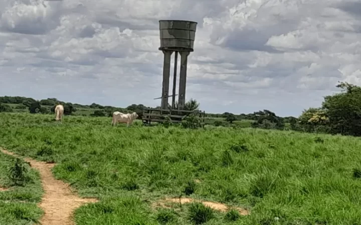 fazendasitio-com-5-quartos-a-venda-4980000m-no-macaiba-9