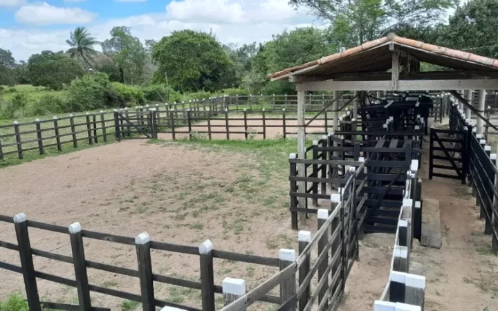 fazendasitio-com-5-quartos-a-venda-4980000m-no-macaiba