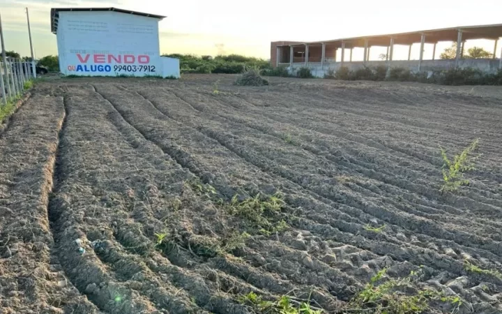 galpaodepositoarmazem-a-venda-300m-no-sao-jose-de-mipibu-2